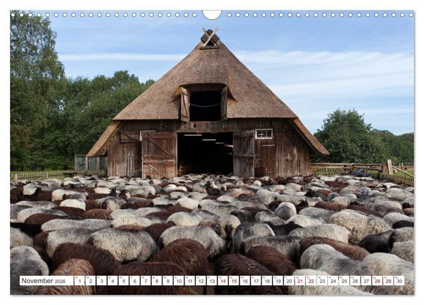 Produktbild: Die L&uuml;neburger Heide - Ausflugsziel im Norden (Wandkalender 2026 DIN A3 quer), CALVENDO Monatskalender