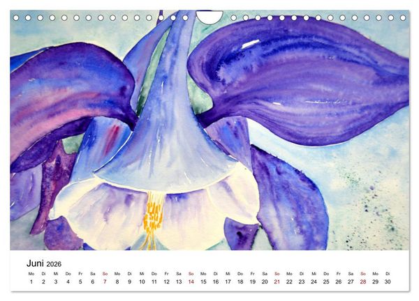 Produktbild: Blumen-Aquarelle (Wandkalender 2026 DIN A4 quer), CALVENDO Monatskalender