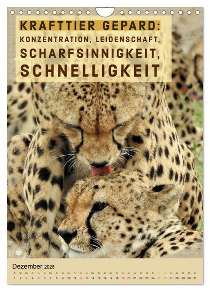 Produktbild: Afrikanische Krafttiere und deren Bedeutung (Wandkalender 2026 DIN A4 hoch), CALVENDO Monatskalender