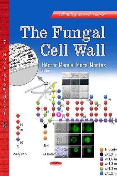 Produktbild: Fungal Cell Wall
