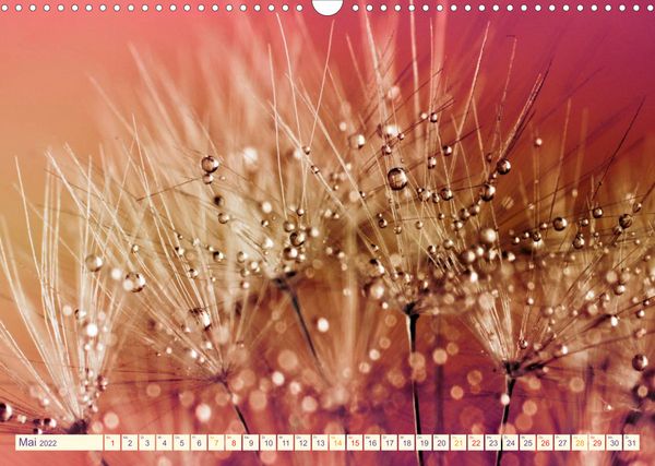 Produktbild: B&uuml;hne frei f&uuml;r die bunte Tr&ouml;pfchenwelt (Wandkalender 2022 DIN A3 quer)