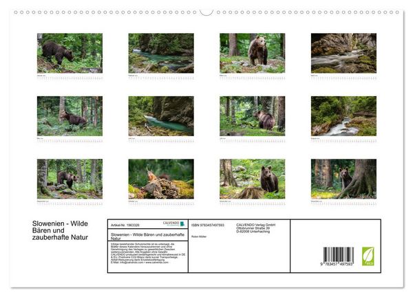 Produktbild: Slowenien - Wilde B&auml;ren und zauberhafte Natur (hochwertiger Premium Wandkalender 2026 DIN A2 quer), Kunstdruck in Hochglanz