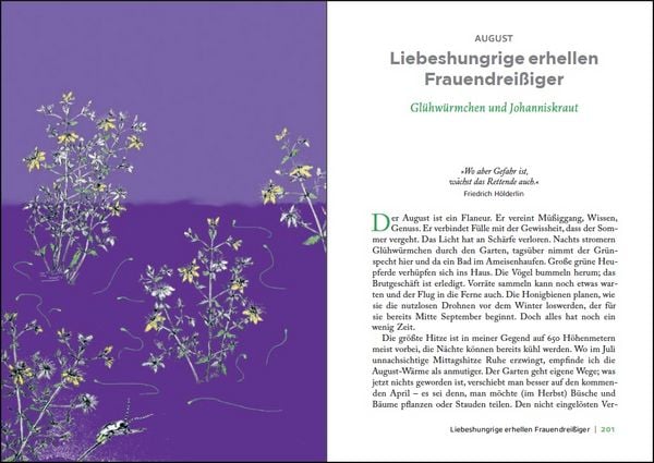 Produktbild: &Uuml;berall ist Garten