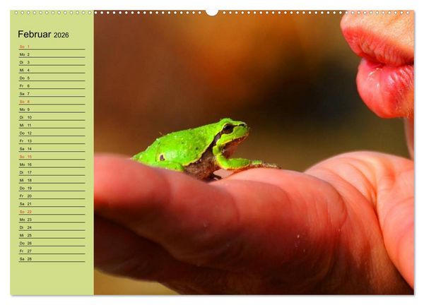 Produktbild: Frosch m&uuml;sste man sein! (hochwertiger Premium Wandkalender 2026 DIN A2 quer), Kunstdruck in Hochglanz