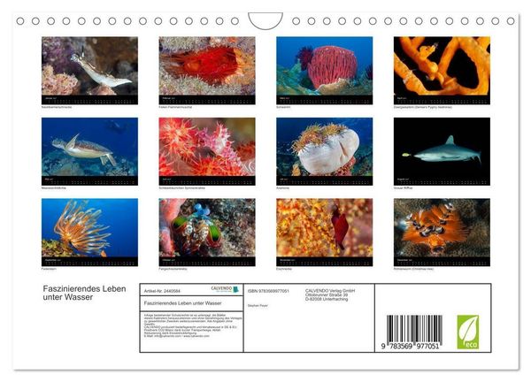Produktbild: Faszinierendes Leben unter Wasser (Wandkalender 2027 DIN A4 quer), CALVENDO Monatskalender