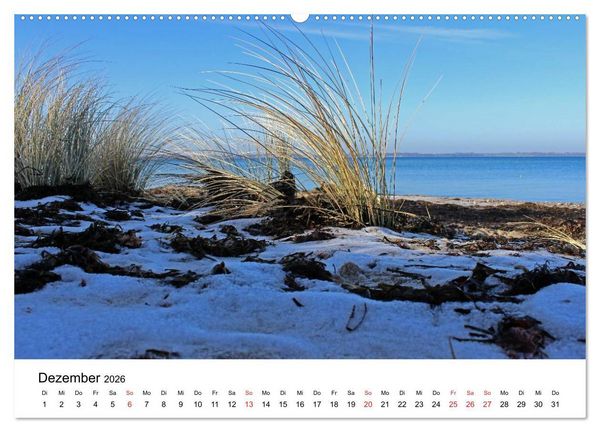 Produktbild: Ostseek&uuml;ste 2026 (Wandkalender 2026 DIN A2 quer), CALVENDO Monatskalender
