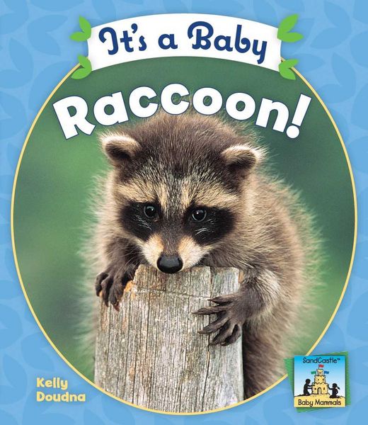Produktbild: Its a Baby Raccoon