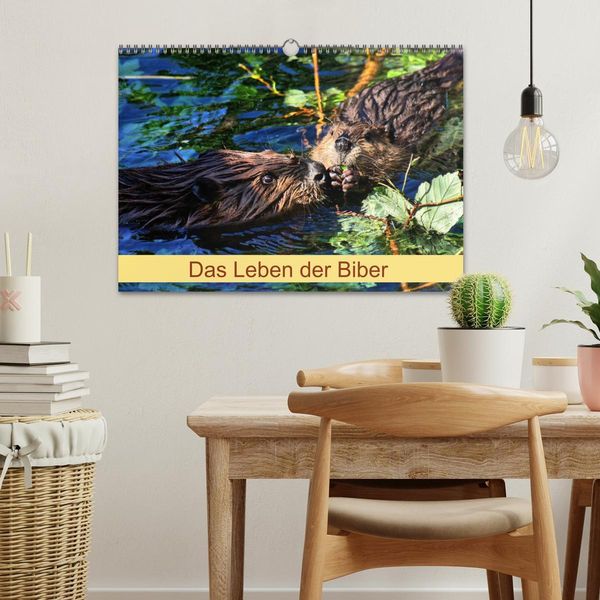 Produktbild: Das Leben der Biber (Wandkalender 2026 DIN A3 quer), CALVENDO Monatskalender
