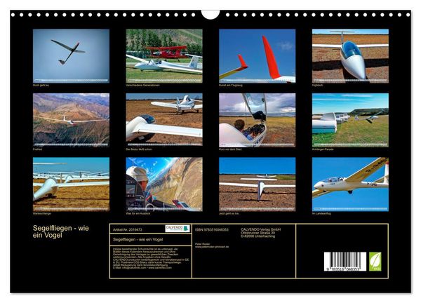 Produktbild: Segelfliegen - wie ein Vogel (Wandkalender 2026 DIN A3 quer), CALVENDO Monatskalender
