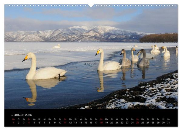 Produktbild: V&ouml;gel & Landschaften (Wandkalender 2026 DIN A2 quer), CALVENDO Monatskalender