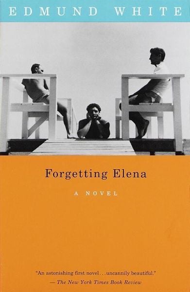 Produktbild: Forgetting Elena