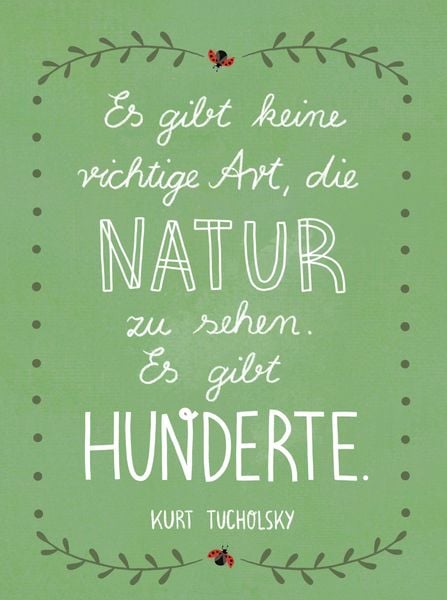 Produktbild: Lebe wild und voller Wunder