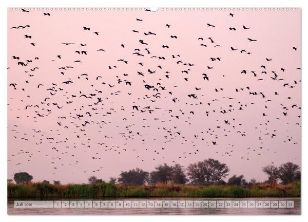 Produktbild: NAMIBIA Christian Heeb (Wandkalender 2026 DIN A2 quer), CALVENDO Monatskalender