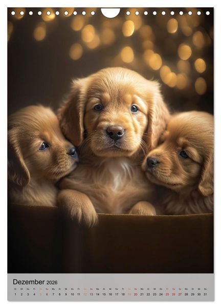 Produktbild: Golden Retriever - ein Hund f&uuml;r die Familie (Wandkalender 2026 DIN A4 hoch), CALVENDO Monatskalender