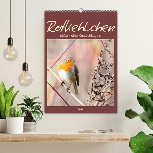 Produktbild: Rotkehlchen, s&uuml;&szlig;e kleine Knutschkugeln (Wandkalender 2026 DIN A2 hoch), CALVENDO Monatskalender