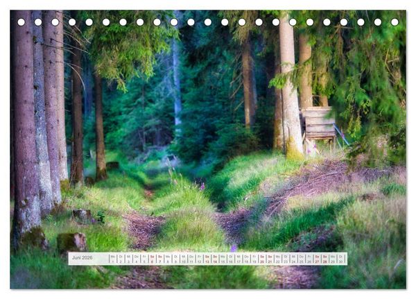 Produktbild: Traumhafte Waldstimmung am Rennsteig im Th&uuml;ringer Wald (Tischkalender 2026 DIN A5 quer), CALVENDO Monatskalender