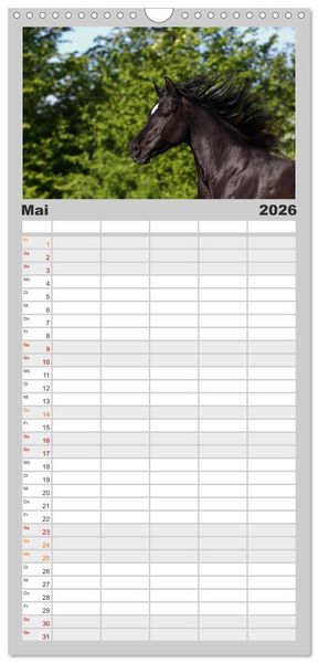 Produktbild: Familienplaner 2026 - Pferde - im Galopp durch's Jahr mit 5 Spalten (Wandkalender, 21 x 45 cm) CALVENDO