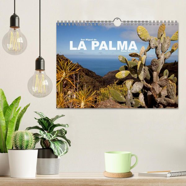 Produktbild: San Miguel de la Palma (Wandkalender 2026 DIN A4 quer), CALVENDO Monatskalender