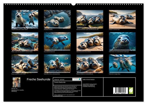 Produktbild: Freche Seehunde (hochwertiger Premium Wandkalender 2026 DIN A2 quer), Kunstdruck in Hochglanz