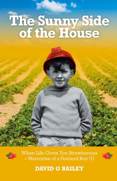 Produktbild: The Sunny Side of the House