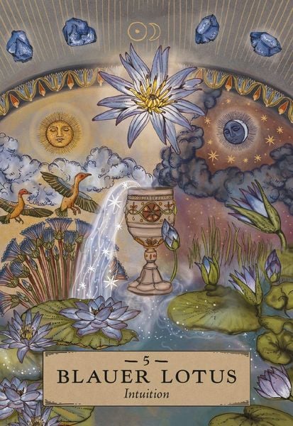 Herbal Astrology Orakel: 55 Karten mit Botschaften und Anleitungen