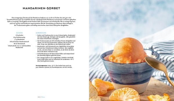 Produktbild: Die vegane Eis-Bibel