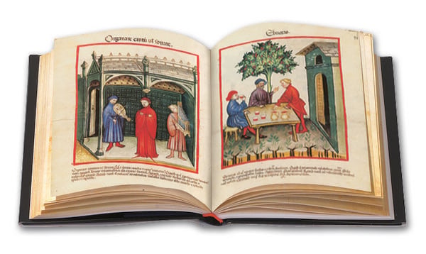 Produktbild: Tacuinum Sanitatis in Medicina