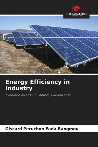 Produktbild: Energy Efficiency in Industry