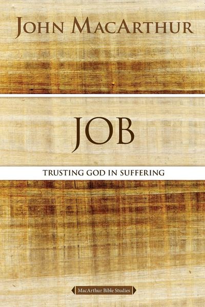 Produktbild: The Job