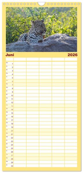 Produktbild: Familienplaner 2026 - S&uuml;dafrika - Big 5 und mehr mit 5 Spalten (Wandkalender, 21 x 45 cm) CALVENDO