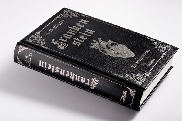Mary Shelley, Frankenstein. Ein Schauerroman