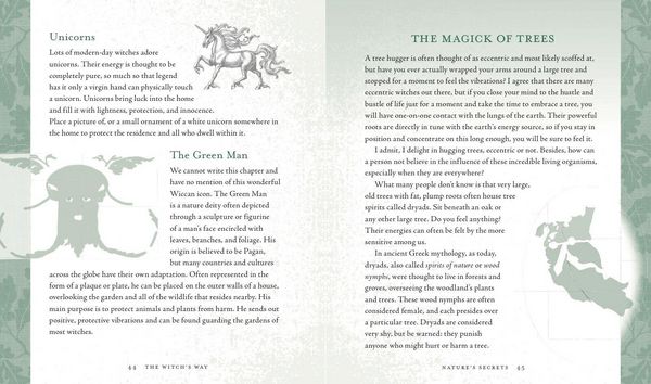 Produktbild: The Witch's Way