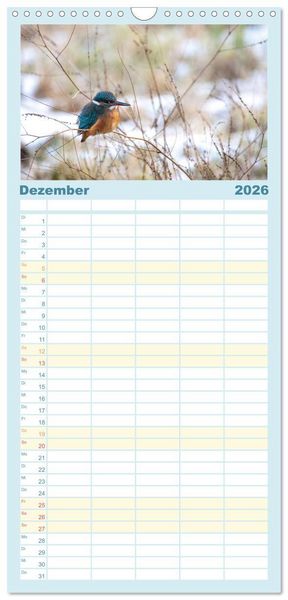 Produktbild: Familienplaner 2026 - Eisvogel im Portr&auml;t mit 5 Spalten (Wandkalender, 21 x 45 cm) CALVENDO