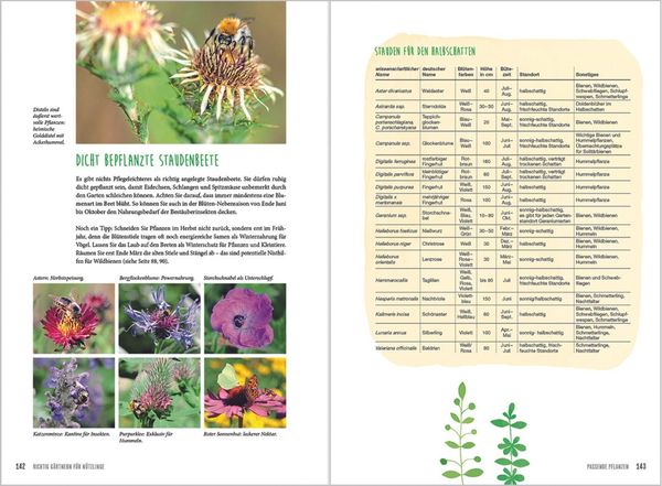 Produktbild: MDR Garten - Richtig g&auml;rtnern f&uuml;r N&uuml;tzlinge