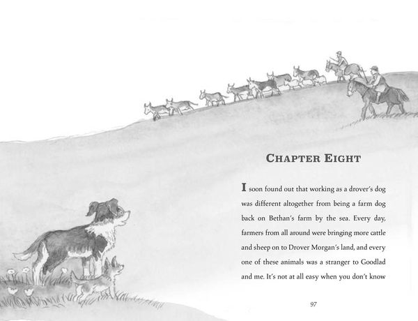 Produktbild: Morpurgo, M: Cobweb