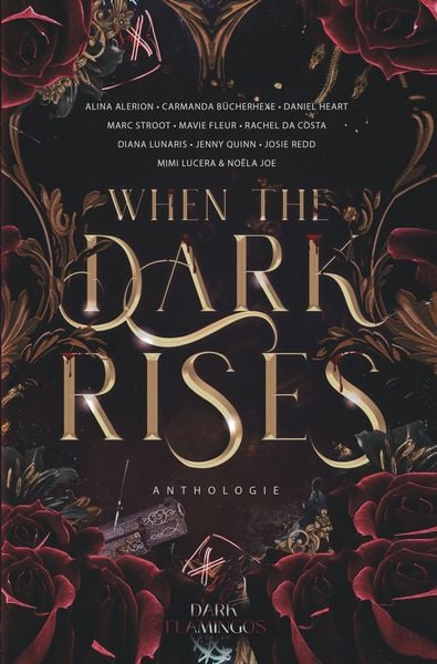 Produktbild: When the Dark Rises