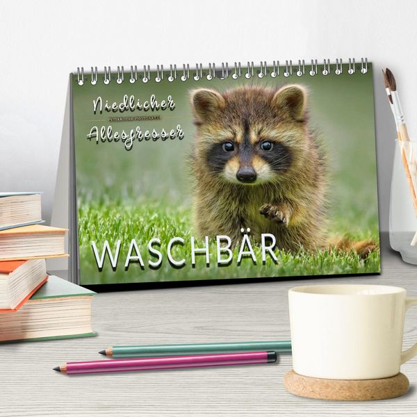 Produktbild: Waschb&auml;r - Niedlicher Allesfresser (Tischkalender 2026 DIN A5 quer), CALVENDO Monatskalender
