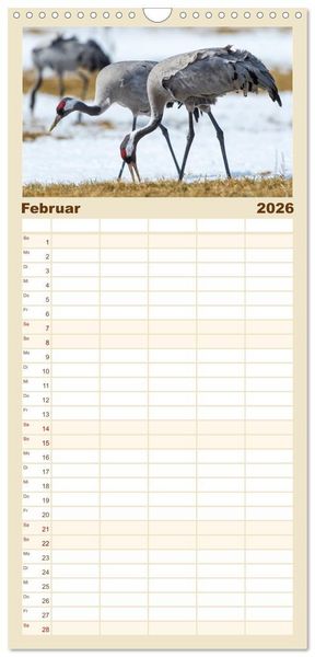 Produktbild: Familienplaner 2026 - Mit Kranichen durch das Jahr mit 5 Spalten (Wandkalender, 21 x 45 cm) CALVENDO