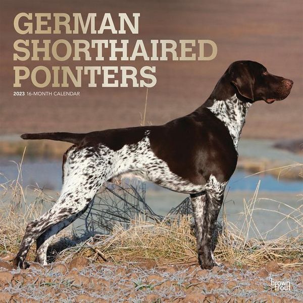 Produktbild: German Shorthaired Pointers 20