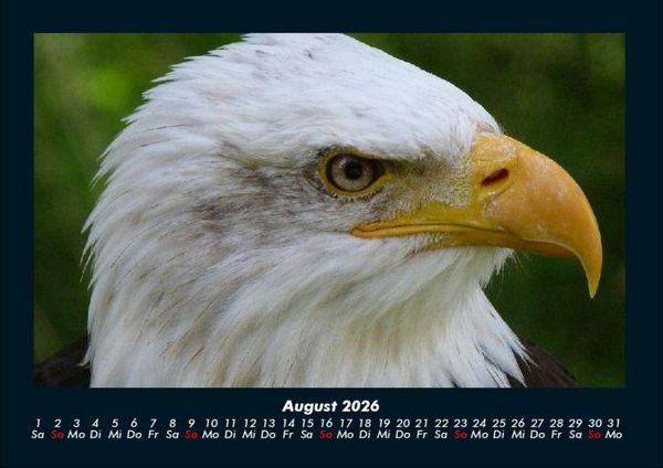 Produktbild: Adler 2026 Fotokalender DIN A4