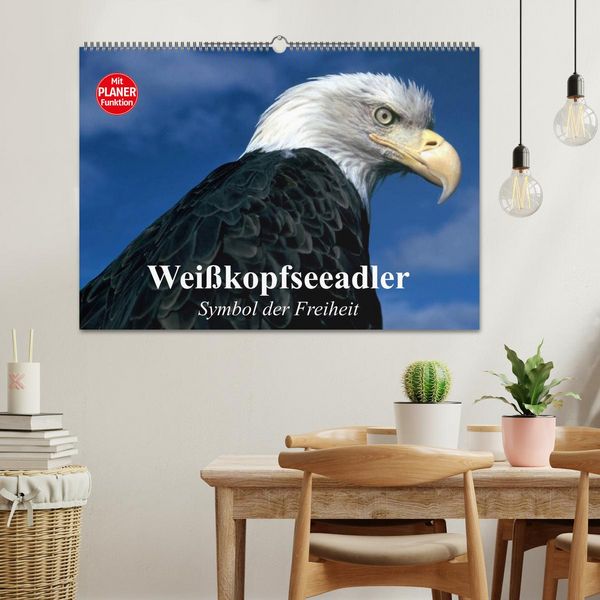 Produktbild: Wei&szlig;kopfseeadler. Symbol der Freiheit (Wandkalender 2026 DIN A2 quer), CALVENDO Monatskalender
