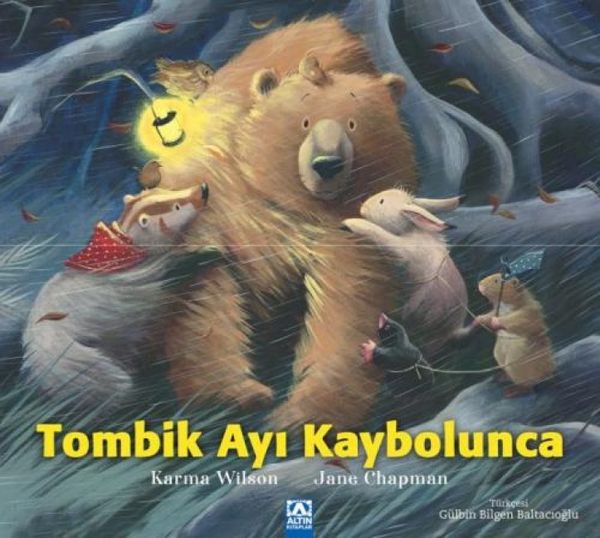 Produktbild: Tombik Ayi Kaybolunca