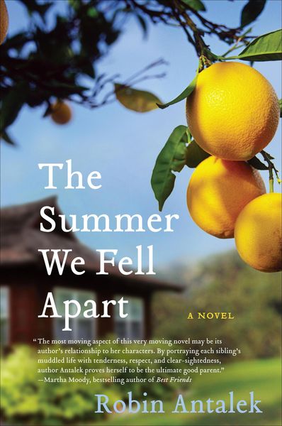 Produktbild: The Summer We Fell Apart