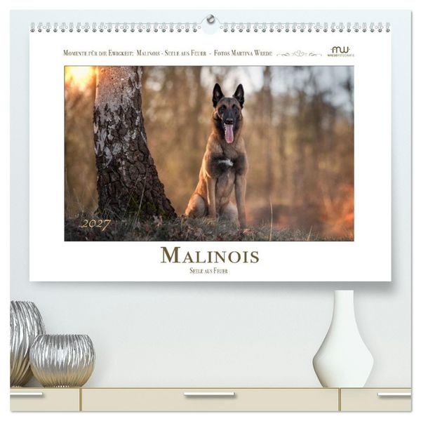 Produktbild: Malinois - Seelen aus Feuer (hochwertiger Premium Wandkalender 2027 DIN A2 quer), Kunstdruck in Hochglanz