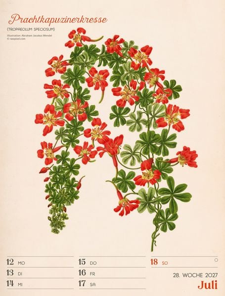 Produktbild: Ars Floralis Wochenplaner Kalender 2027