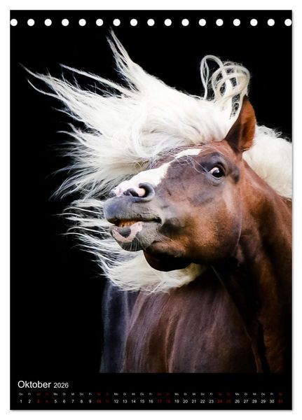 Produktbild: Schwarzw&auml;lder F&uuml;chse von Julia Hahn Photography (Tischkalender 2026 DIN A5 hoch), CALVENDO Monatskalender