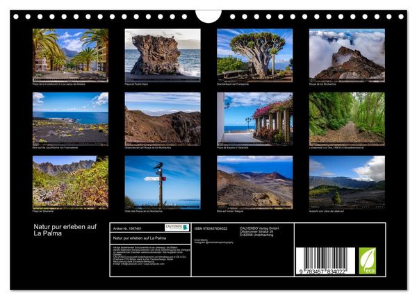 Produktbild: Natur pur erleben auf La Palma (Wandkalender 2026 DIN A4 quer), CALVENDO Monatskalender