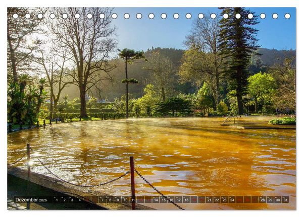 Produktbild: Terra Nostra Garten - ein botanisches Juwel auf den Azoren (Tischkalender 2026 DIN A5 quer), CALVENDO Monatskalender