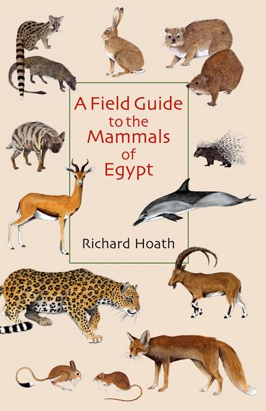Produktbild: A Field Guide to the Mammals of Egypt