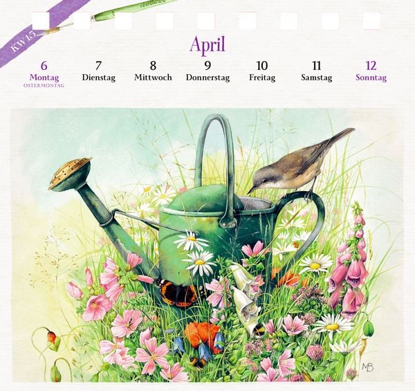 Produktbild: Kalender mit 53 Postkarten